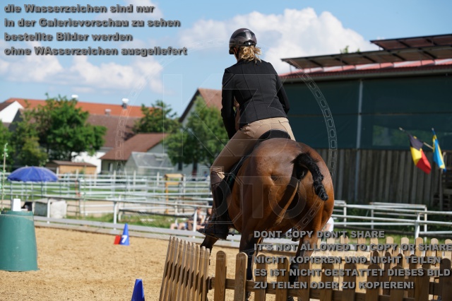 s_K3F06986.JPG